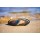 Fototapetas Midijos kriauklė ant paplūdimio